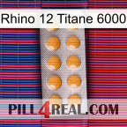 Rhino 12 Titanium 6000 levitra1